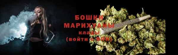 скорость Вяземский