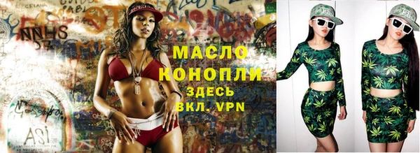 скорость Вяземский