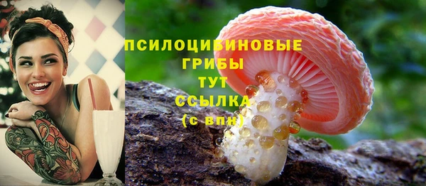 скорость Вяземский
