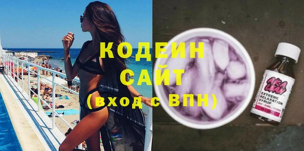 скорость Вяземский